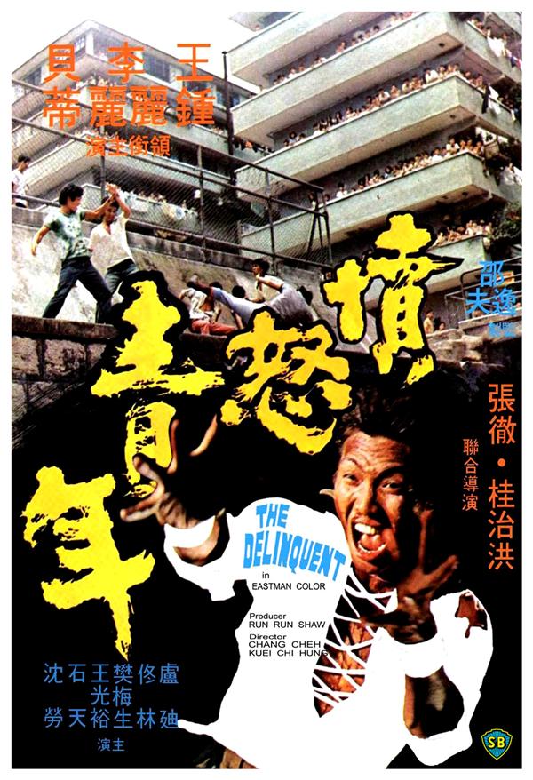 愤怒青年[1973/香港/动作/邵氏][6.12G/MKV/国语]